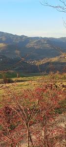 Raggio Campacci di Sacchetti Vanessa