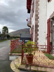 Maisons d'hotes Maison Graciateguy : photos des chambres
