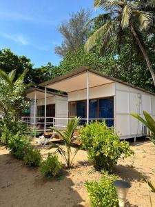 Mountain Palm patnem beach