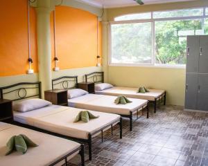 Sunrise Guesthouse and Inn, Panglao