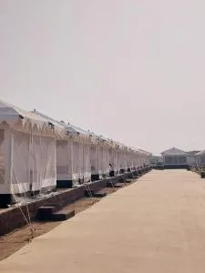 Rann Heritage Resort - Dholovira