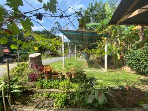 Chu Mons Homestay Janda Baik (15 min from river)