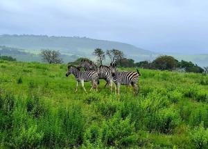 Rocky Valley Game Lodge