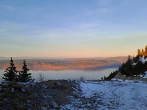 Appartements Duplex dans Chalet entre Lac et Montagne - Vue Lac : photos des chambres