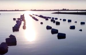 Residentie Oosterschelde