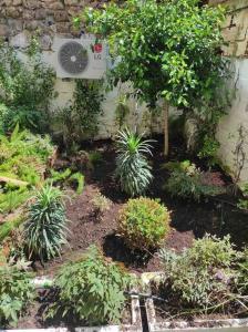 Center of Old Town,2+1 flat with Garden