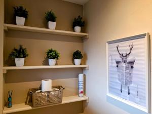 Appartements Grand studio 3 personnes idealement place : photos des chambres