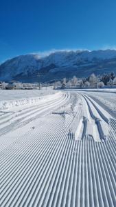 Alpenlodge Bad Mitterndorf mit Privat Sauna