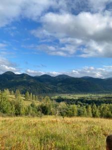 Pensiunea Prisaca Dornei