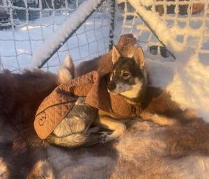 Tiny House in Nattavaara by