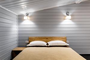 Zhytomyr palace mimino