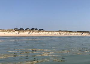 Gurtdeel 1000 Sterne-Suite