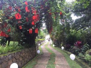 Vila kuning view city light bandung n big garden