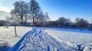 Giżycko - Żywki, Masuria Resort Village, całoroczne domki z widokiem na jezioro