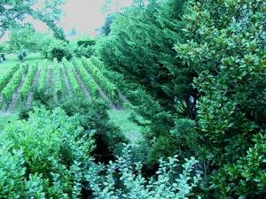 B&B / Chambres d'hotes Les ID de Saint Emilion : photos des chambres