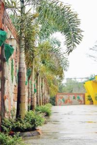 Dreaming Forest Hotel - Soro Soro, Batangas