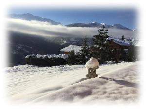 Chalets Une sensation japonaise au coeur de la Savoie ! : photos des chambres