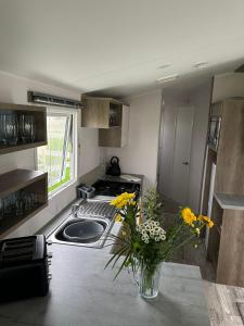 Ingoldmells Honeybee Fantasy Island