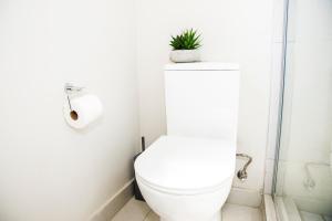 Eirini Elegant - Artemis Apartment Carlswald