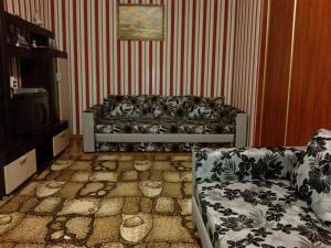 Apartment on Robitnycha