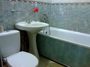 Apartment on Robitnycha