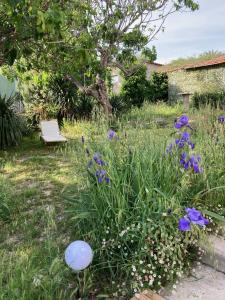 Maisons de vacances VILLA LES FIGUIERS : photos des chambres