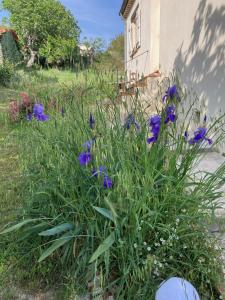Maisons de vacances VILLA LES FIGUIERS : photos des chambres