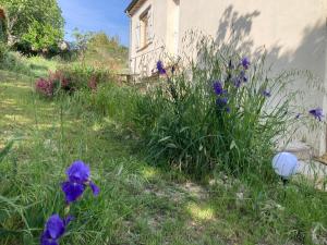 Maisons de vacances VILLA LES FIGUIERS : photos des chambres