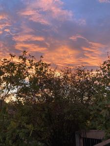 Maisons de vacances VILLA LES FIGUIERS : photos des chambres