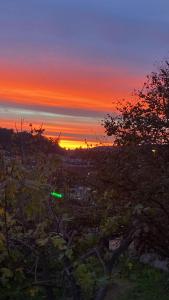 Maisons de vacances VILLA LES FIGUIERS : photos des chambres