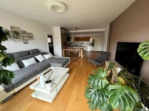 Apartment in historical center with park view