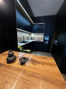 1BR Modern condo near the University - Yukari Banya