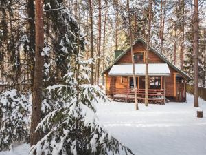 JarzÄ™binowa - Dom do wynajÄ™cia na Podlasiu