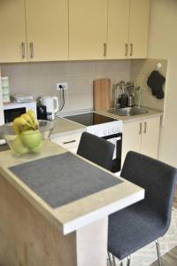 Belgrade Center Penthouse Duplex