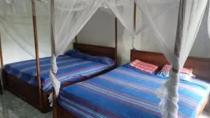 Peacock Villa - Naula