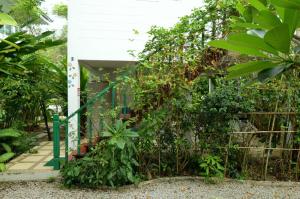 Makmai Villa - Rayong