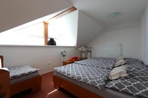 Ubytování Vila Sobotka