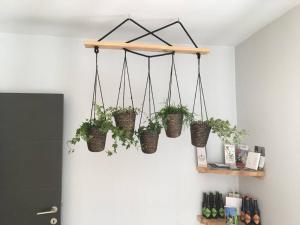 Gîte Ô 29 #CONTAINER POOL#JACUZZI#