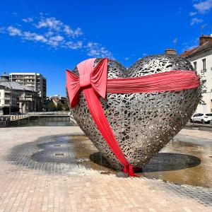 Appartements Suite Cosy Jacuzzi Troyes - Secrets d'Ana : photos des chambres