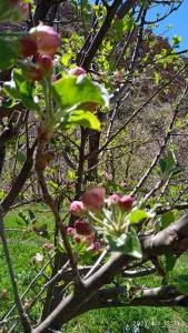 Agence Said - Bine el Ouidane