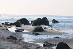 Bungalow WALD & SAND direkt am Strand