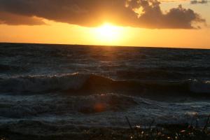 Bungalow WALD & SAND direkt am Strand