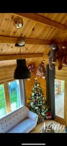 Les Chalets du Parc : photos des chambres