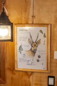 Wild Cabañas Boutique