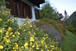 Chalet entier pour lété