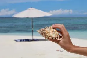 MAMELLO Beach Club Maldives - Himandhoo 