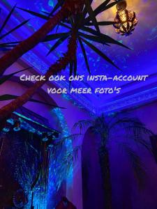 Riad Agraba, 1001 nights