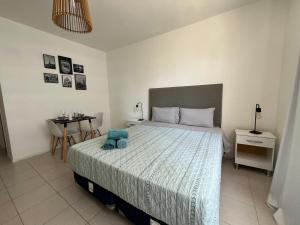 Lower Apartment Studio