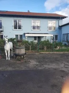 Große 3 Zi Wohnung auf der Pferde Farm - Hugsweier