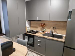 Crăițelor Boutique Airport Apartment